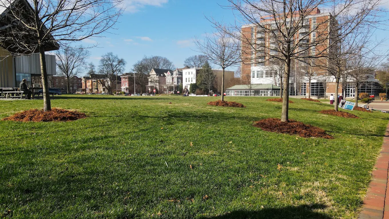 Maintained grounds surrounding commercial buildings