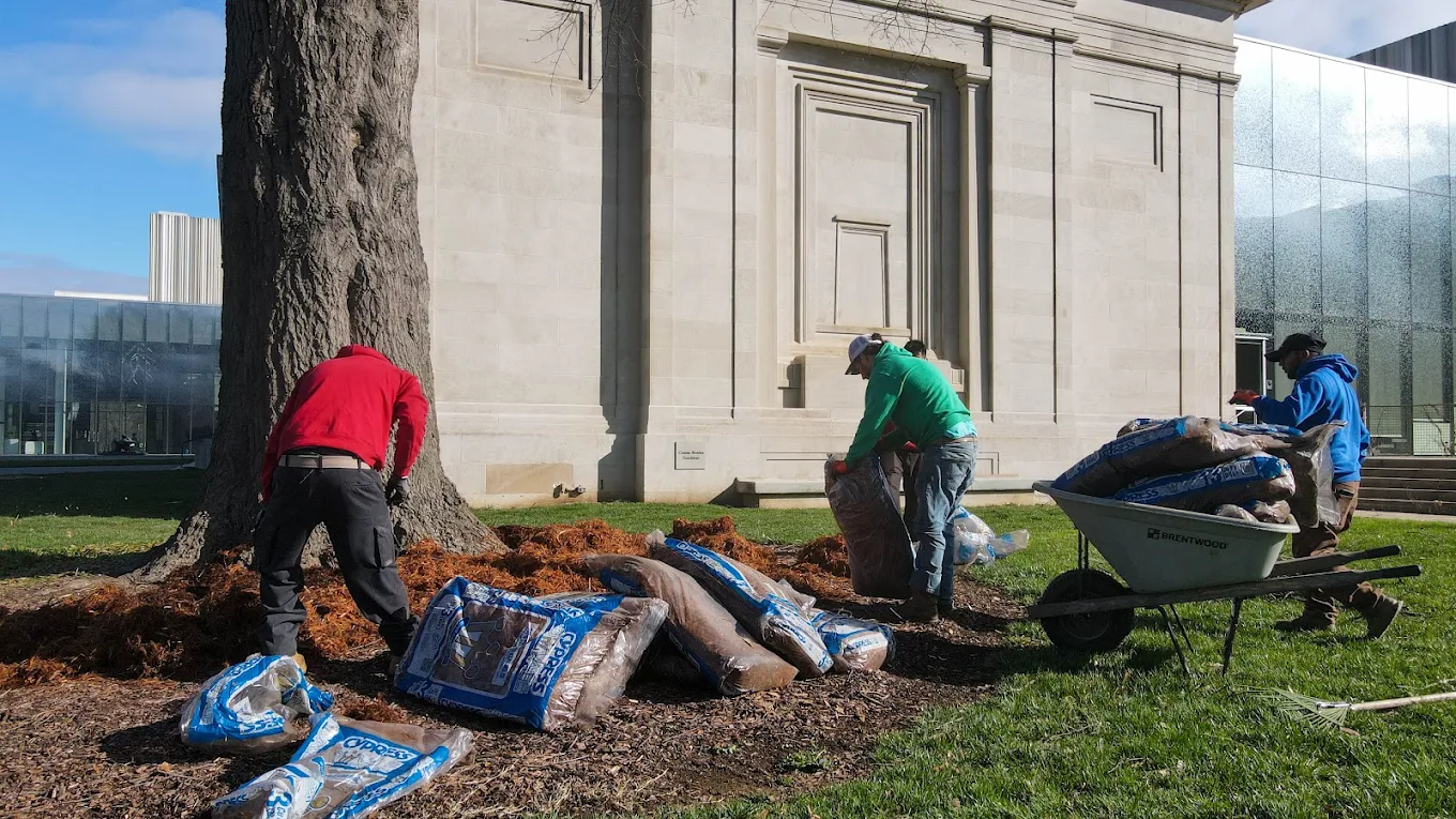 Lex's team working together to mulch landscape beds
