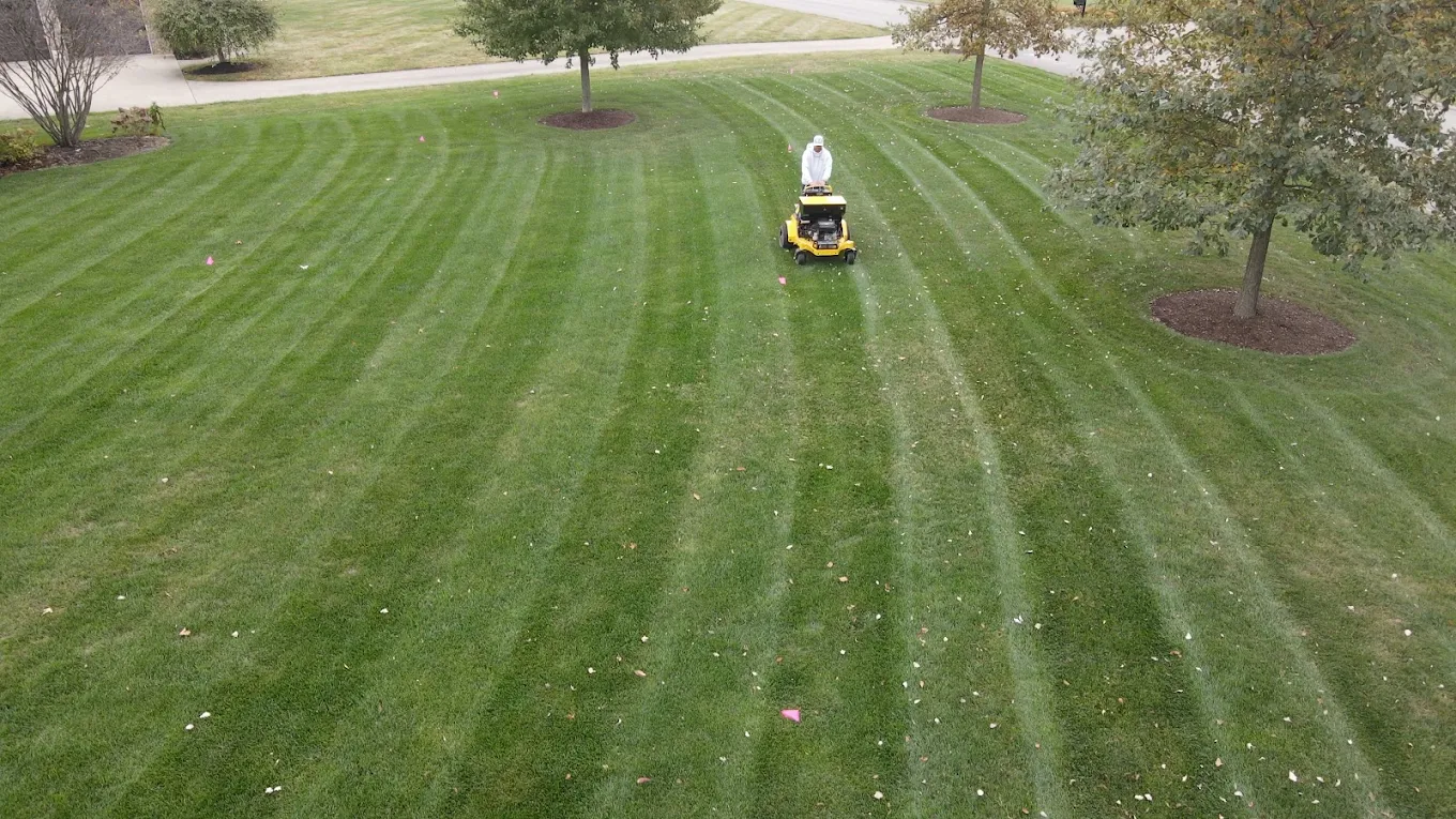 Lex lawn care equipment at work