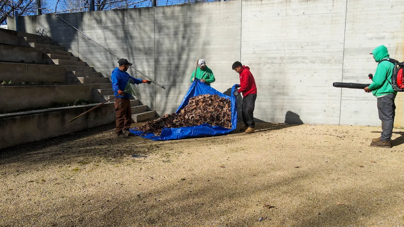 Lex landscape crew working together on a commercial property