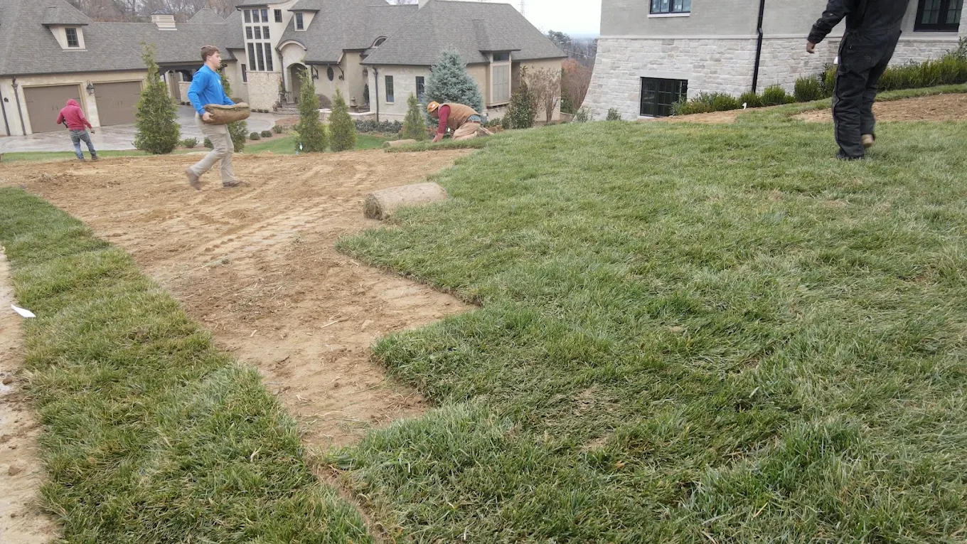 Sod installation on prepared ground