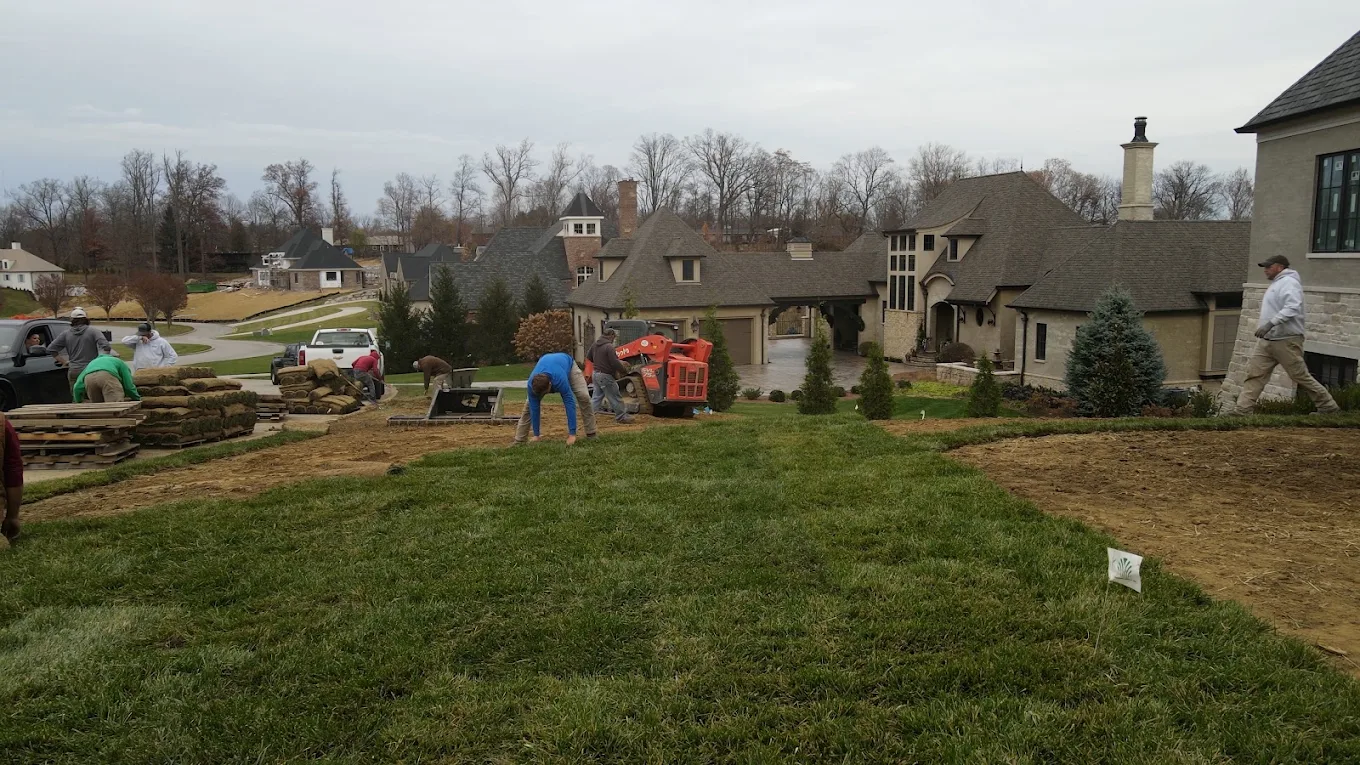 Lex crew laying sod around a home