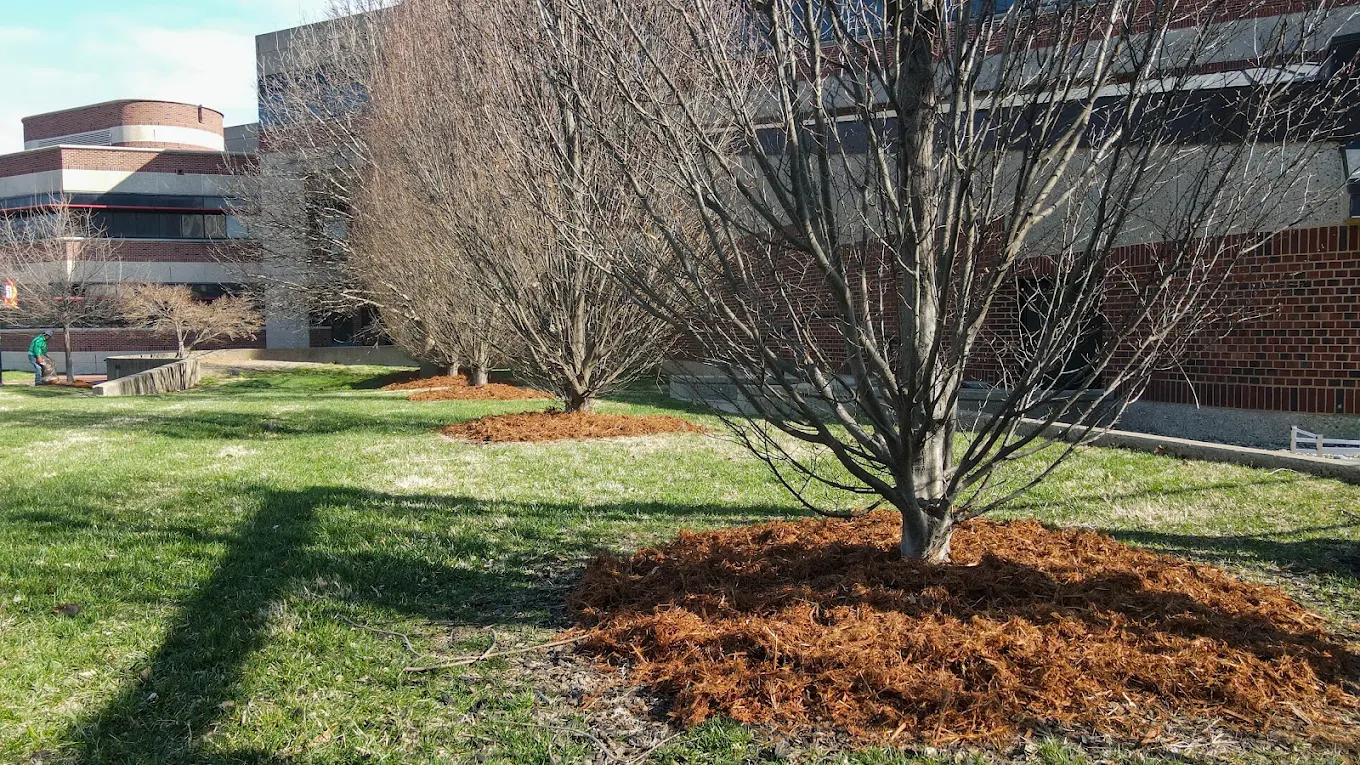 Landscaped grounds at a commercial property