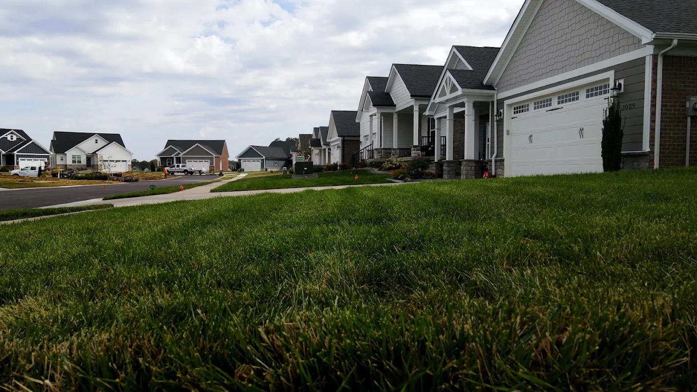 Lawn areas outside a group of homes